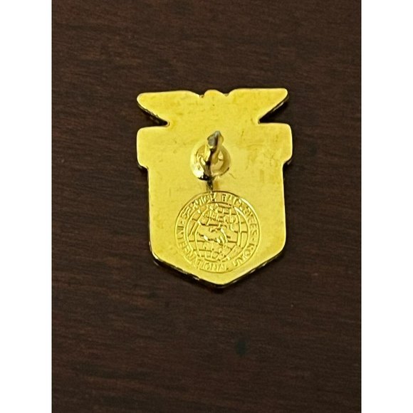 UAW Region 10 United Auto Workers Union Wisconsin Minnesota Dakota Pin CB Gold - Picture 4 of 4